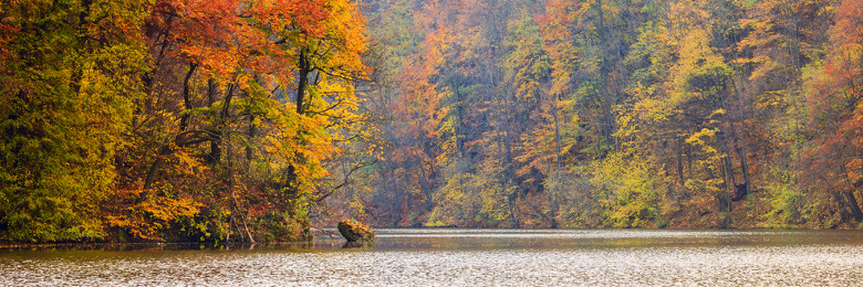 fall trees in color from lake anna