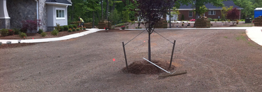 completed driveway grading job