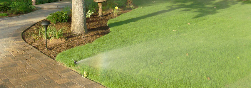 lawn being watered by an automatic sprinkler