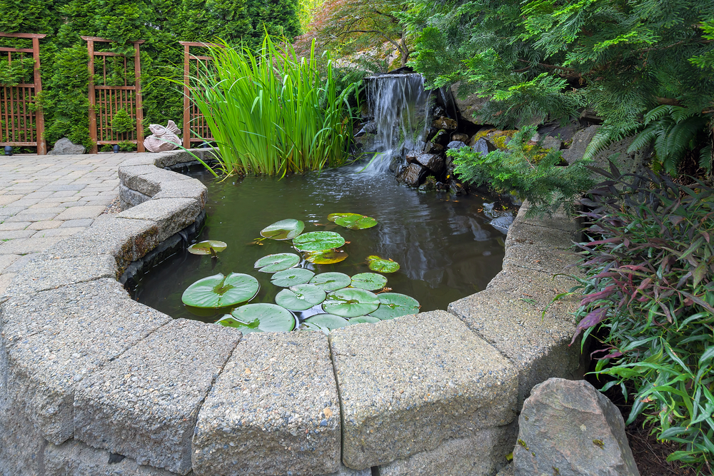 pond hardscaping