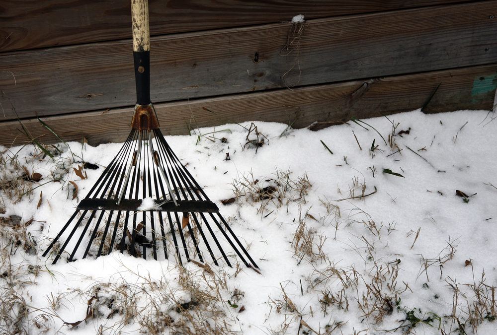 winter landscape with snow and rake