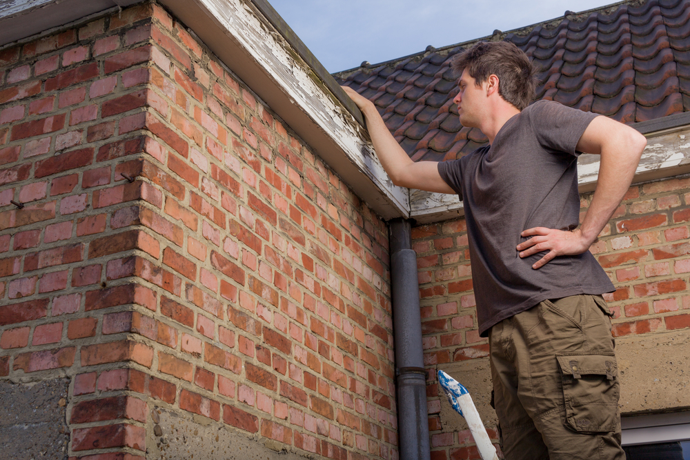 man doing roof inspection