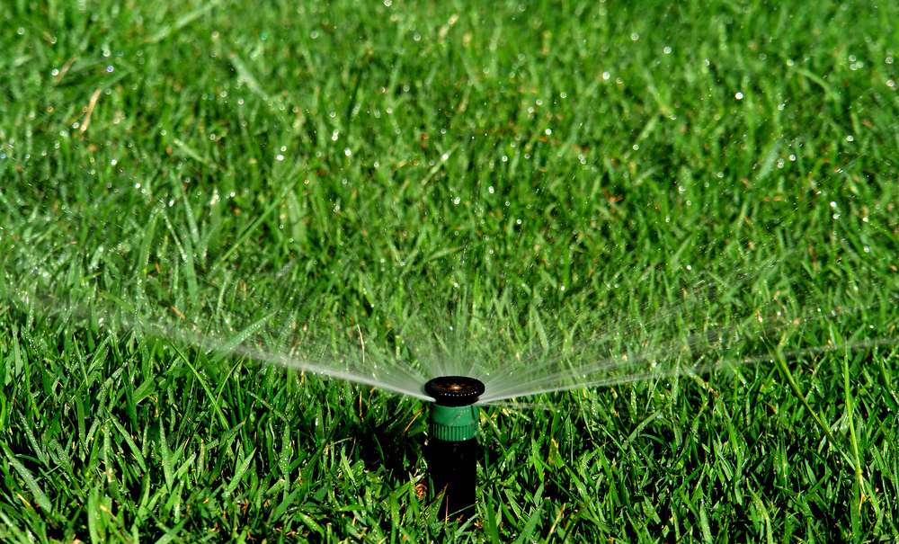 irrigation-system-watering-lawn