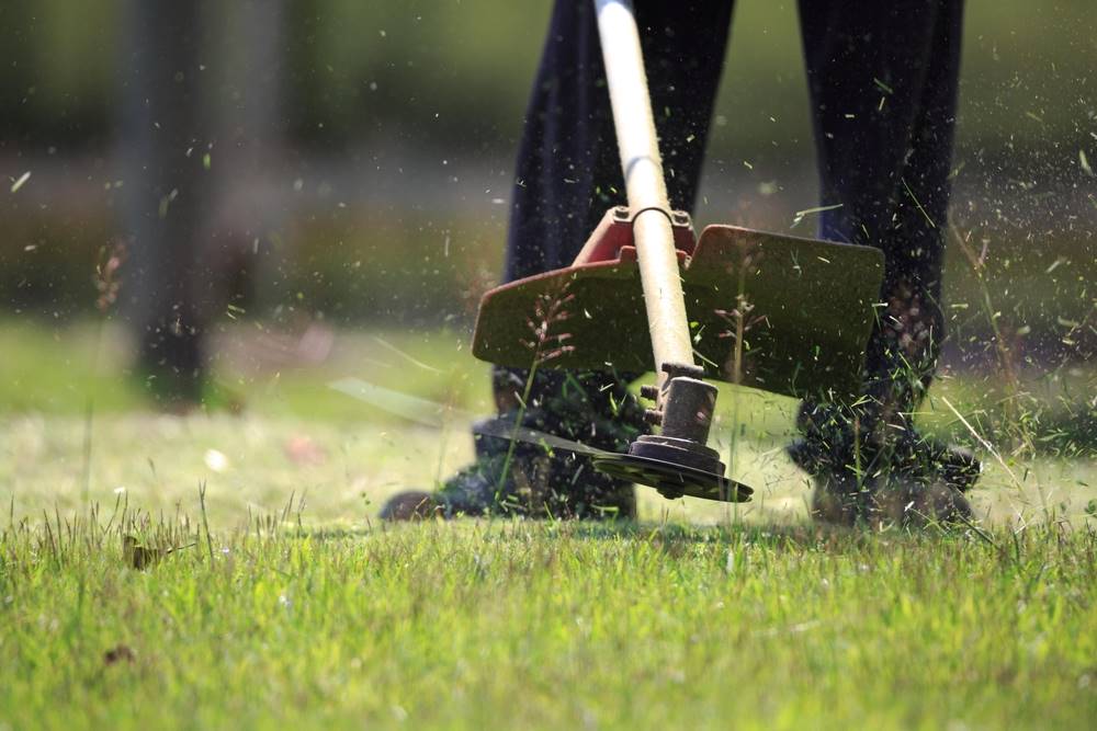 trimming grass