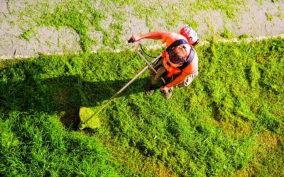 Your Summer Home Maintenance Checklist