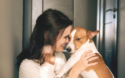 Pet-Friendly Features to Add To Your Custom Home