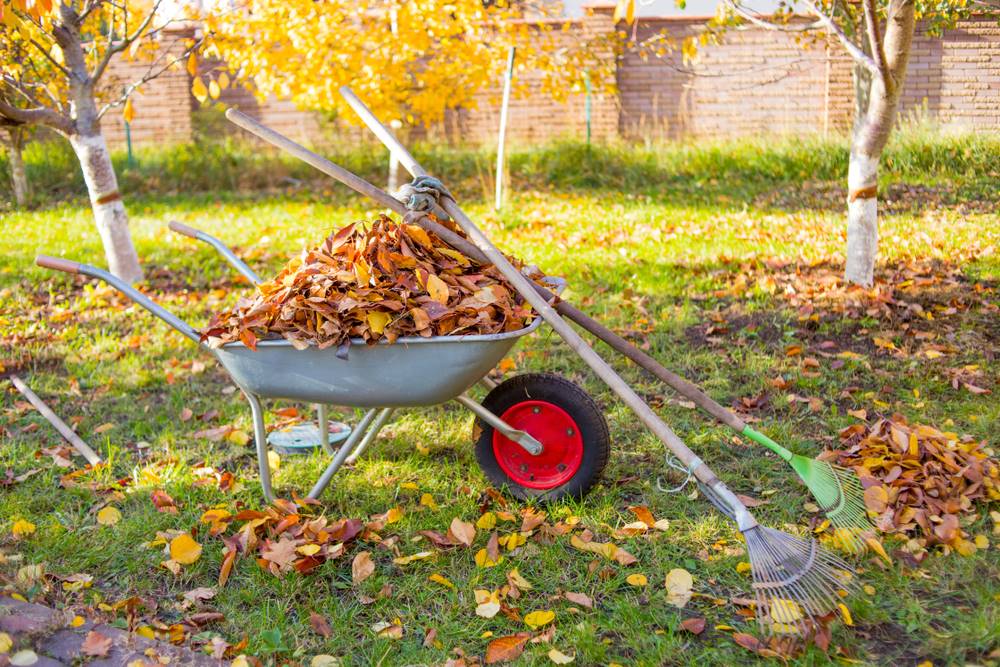 Caring for Your Landscaping This Fall