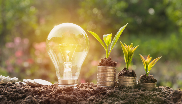 Energy saving light bulb and plant growing on stacks of coins on nature on dirt or earth