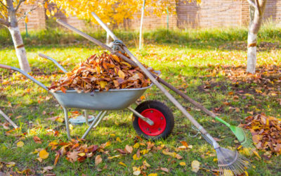 8 Things You Can Do For Your Fall Landscaping Checklist