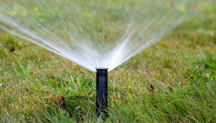 Automatic lawn watering or irrigation system sprinkles water