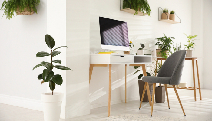 Modern workplace in room decorated with green potted plants with good lighting