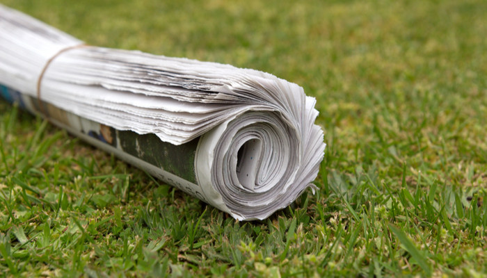 A home delivered rolled newspaper on the lawn