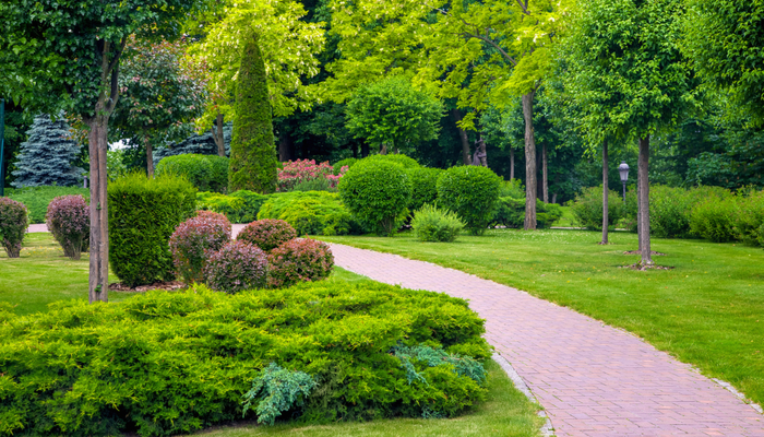 curved pedestrian walkway of stone tiles in park with landscape design with green plants shrubs, bushes, and trees