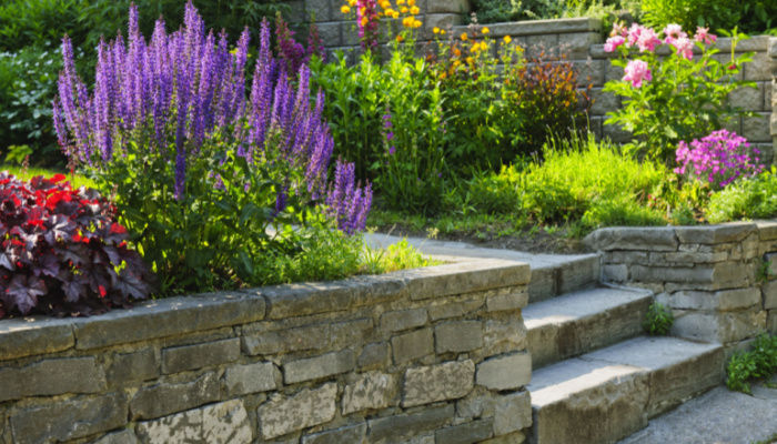 Natural stone landscaping in home garden with steps and flowerbeds with colorful flowers on a bright sunny day