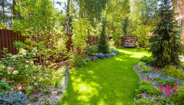 Landscape design of garden in home backyard with pine, fir trees and flowers in summer