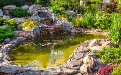 The Environmental Advantages of Incorporating a Pond in Your Property