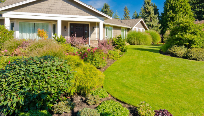 How to Keep Your Landscape Thriving in Dry Conditions