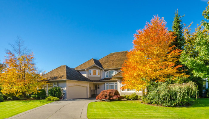 A beautiful house with beautiful lawn and trees in fall colors