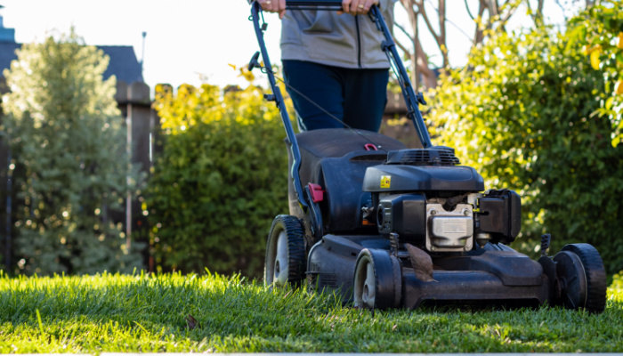 Middle Aged man mowing the lawn with a self-propelled lawn mower on sunny winter afternoon