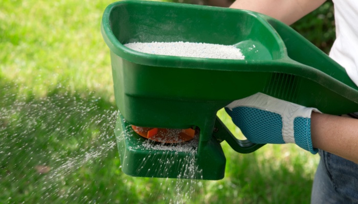 A man with gloves manually fertilizing of the lawn in back yard in spring time