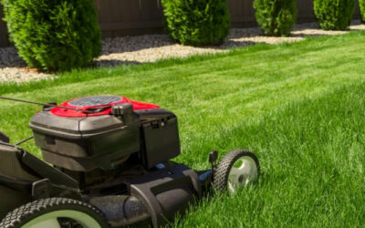 Spring into Action: Essential Lawn Maintenance Tips for Spring