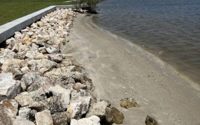 Why Waterfront Homeowners Are Choosing Rip-Rap Over Traditional Seawalls